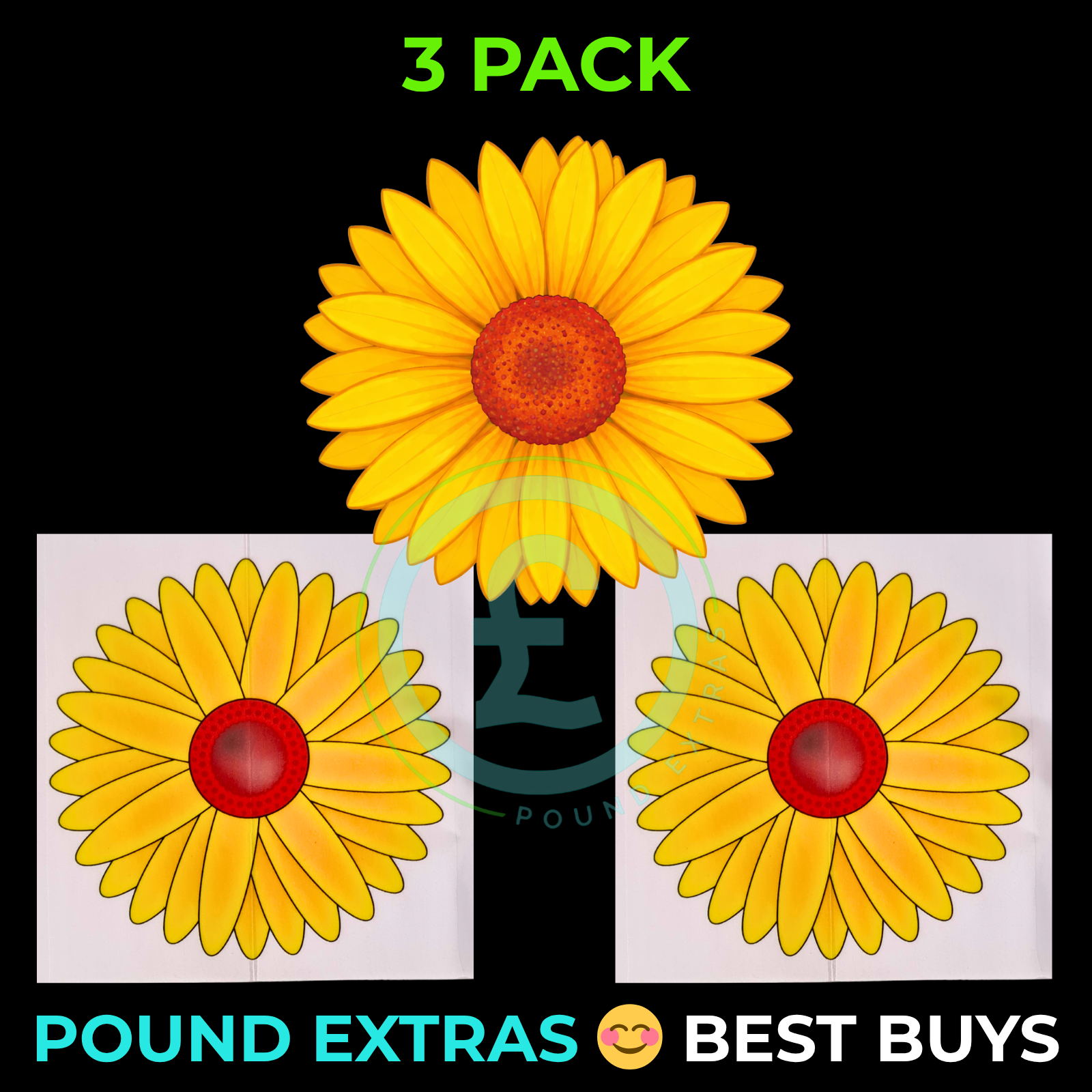 Fly Catcher Window Flower Traps Stickers Bug Insect Killer Sticky Window Trap10