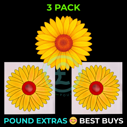 Fly Catcher Window Flower Traps Stickers Bug Insect Killer Sticky Window Trap10