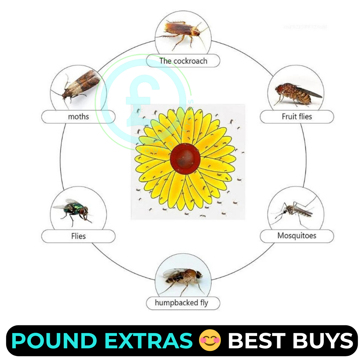 Fly Catcher Window Flower Traps Stickers Bug Insect Killer Sticky Window Trap12