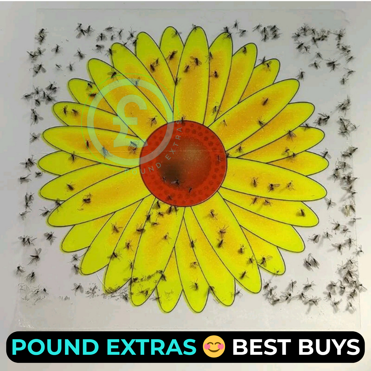 Fly Catcher Window Flower Traps Stickers Bug Insect Killer Sticky Window Trap5