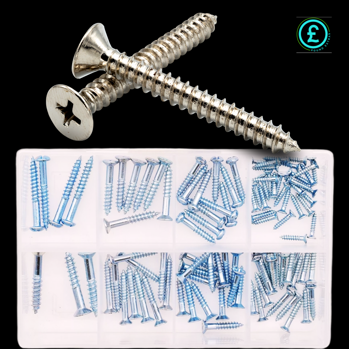 Assorted screws including a large silver screw on a white tray with a black background