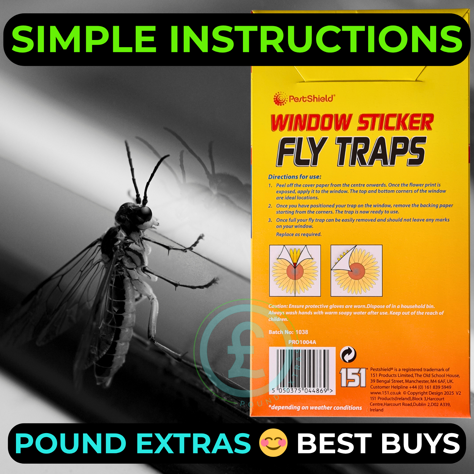 Fly Catcher Window Flower Traps Stickers Bug Insect Killer Sticky Window Trap2