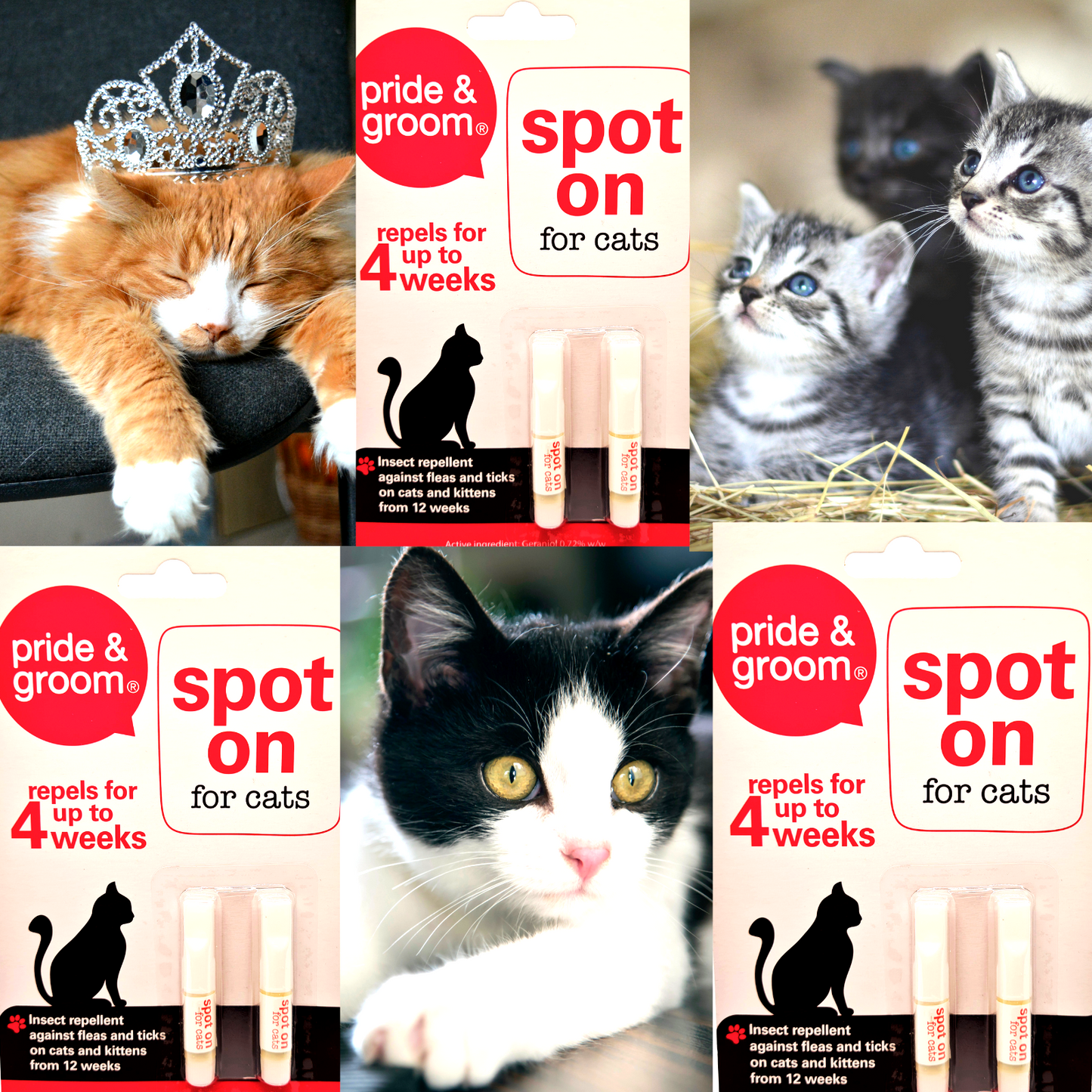 Collage of Pride & Groom Spot On for cats packaging and images of cats.