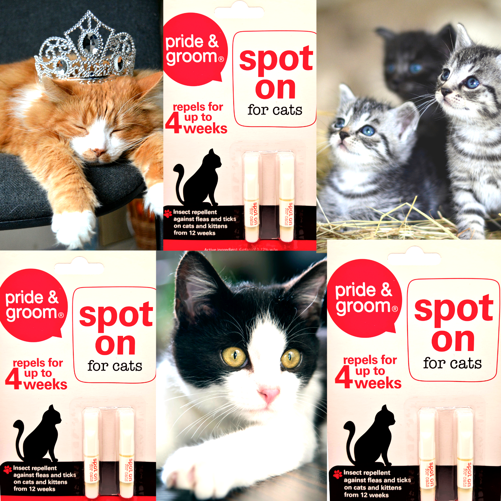 Collage of Pride & Groom Spot On for cats packaging and images of cats.