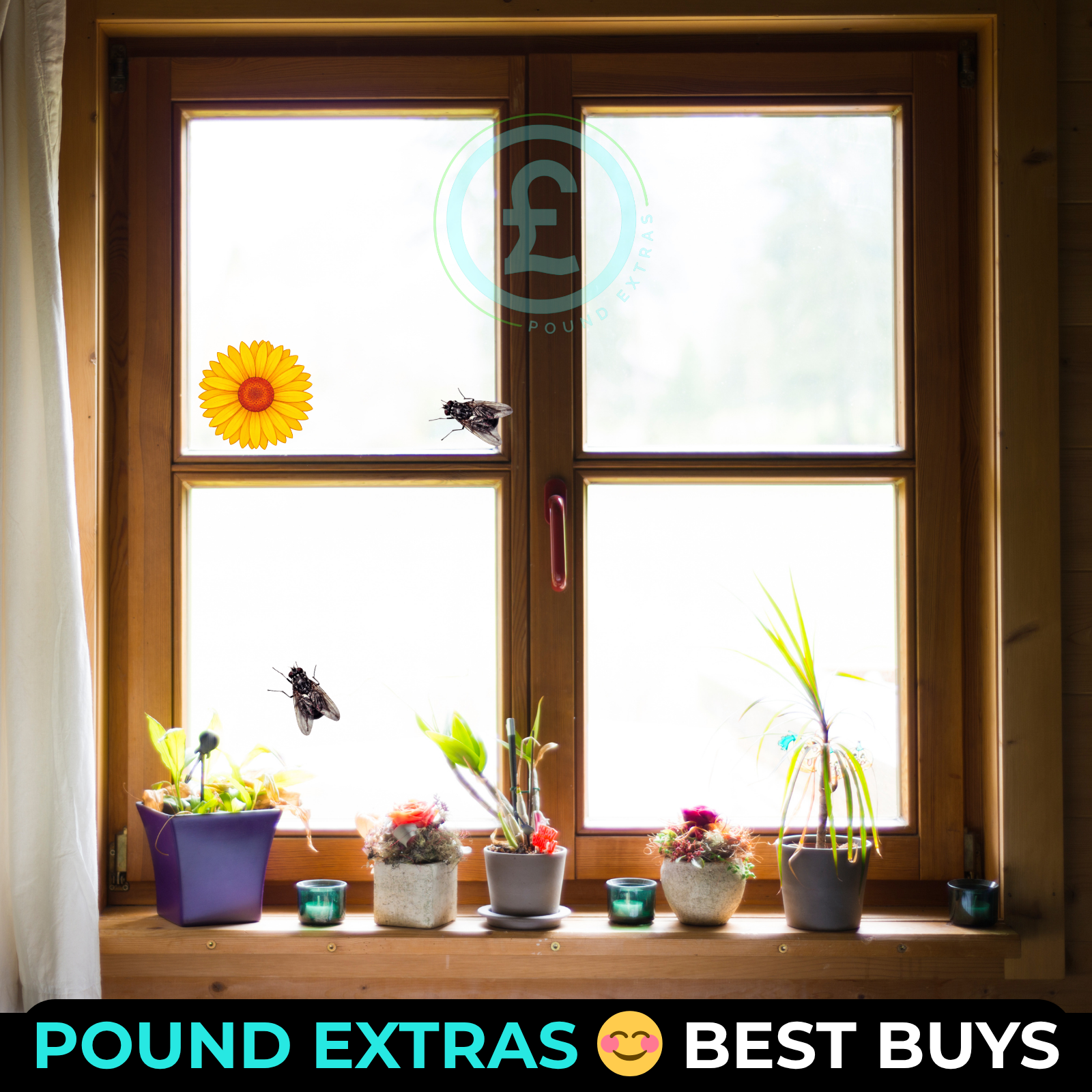 Fly Catcher Window Flower Traps Stickers Bug Insect Killer Sticky Window Trap17